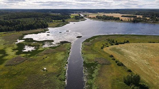 Ansionjärvi lintuvesi_LKaukonen